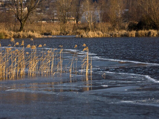     ФОТО С САЙТА FREEPIK.COM.