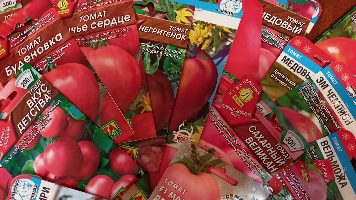 Хранение семян томатов. СЕДЕК срок годности семян.