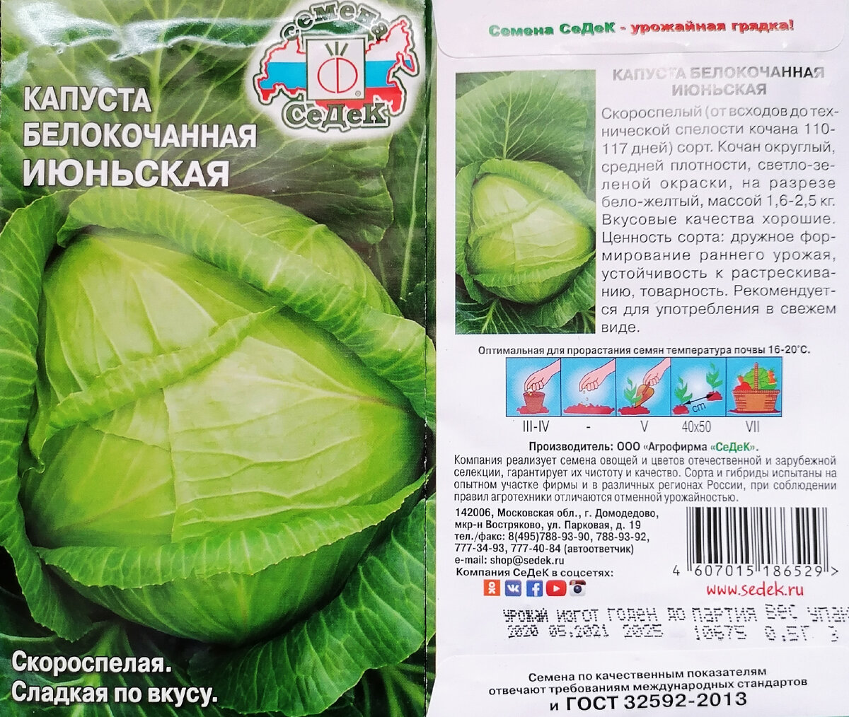 I sell cabbage from my garden, for salting and storage, for 25 rubles. Carrots a
