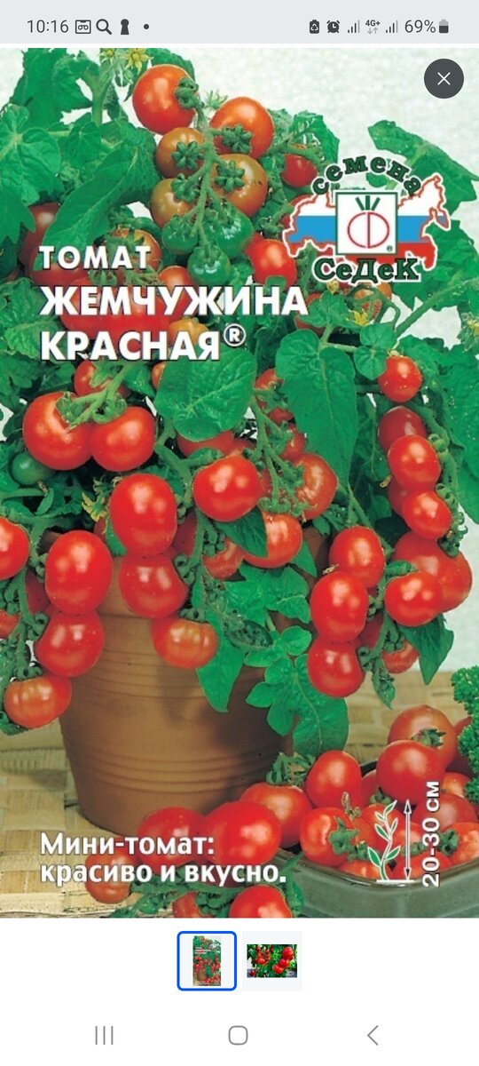 Вот такой сорт выбрала