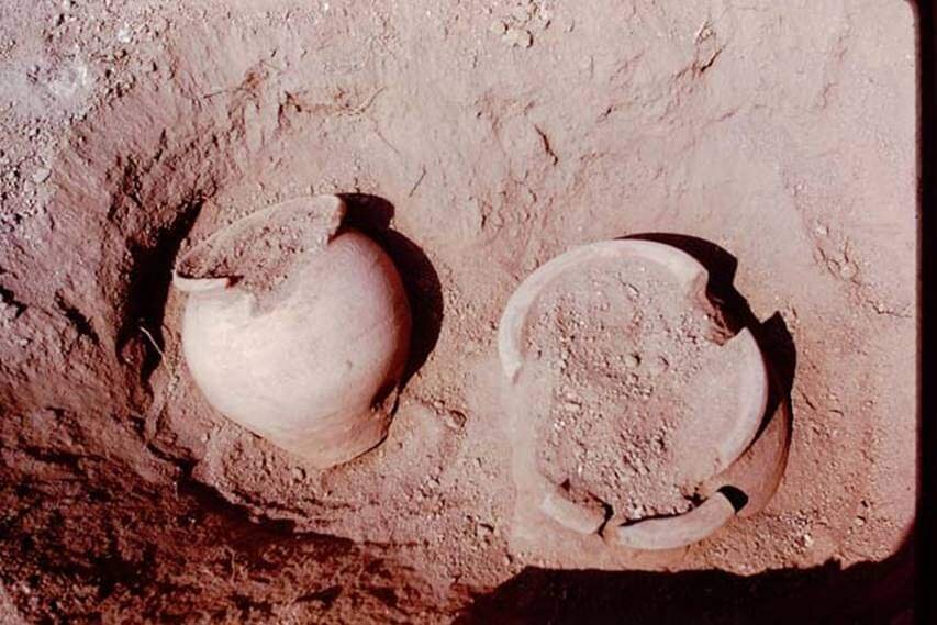 Горшочки из раскопок в Оплонтисе / Архив Яшемски