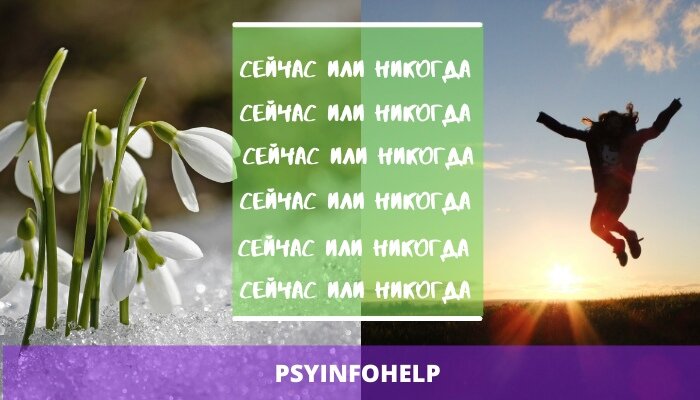 Коллаж создан автором с использованием фотографий из открытых источников