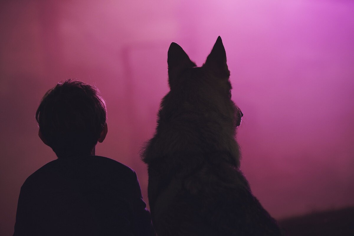 Цвет из иных миров, 2019