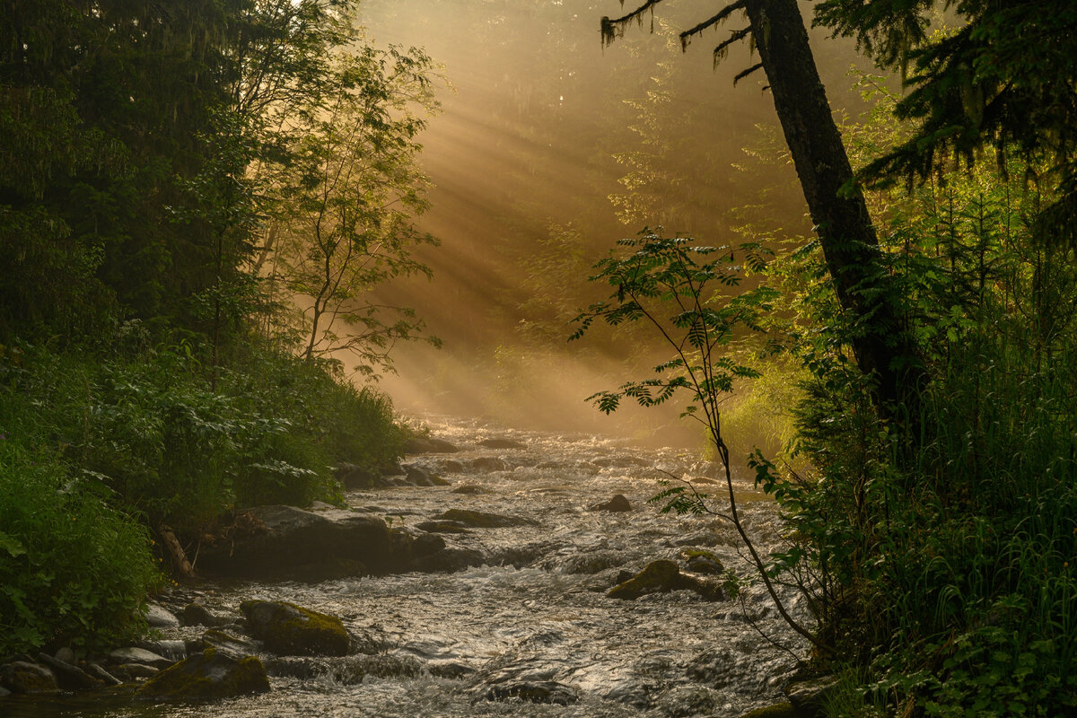 Река Ауспия