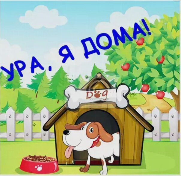 Картинка с надписью ищу дом