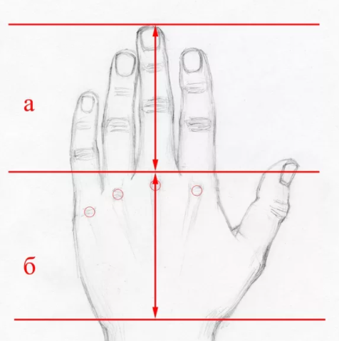 Тыльная сторона ладони линии. Рука хиромантия схема. Трирадиус дерматоглифика. Линии правой руки расшифровка. Хиромантия что означают линии.