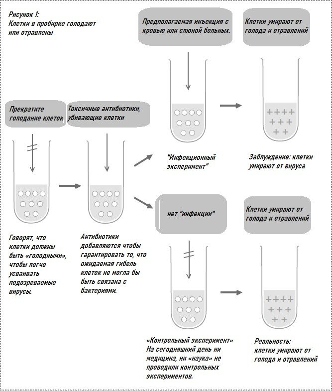 Контрольный эксперимент с клеточными культурами, который никогда не проводится современными вирусологами