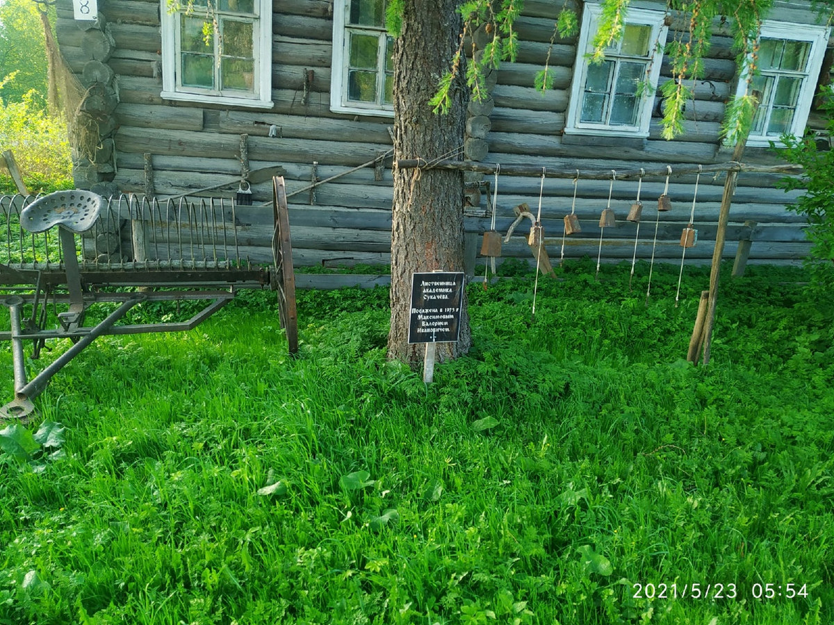 Погода кривцы карелия пудожского. Кривец Кадуйский район. Кривцы Карелия ул Титова. Три камня поселок Кривцы. Деревня Кривцы на берегу Водлы фото