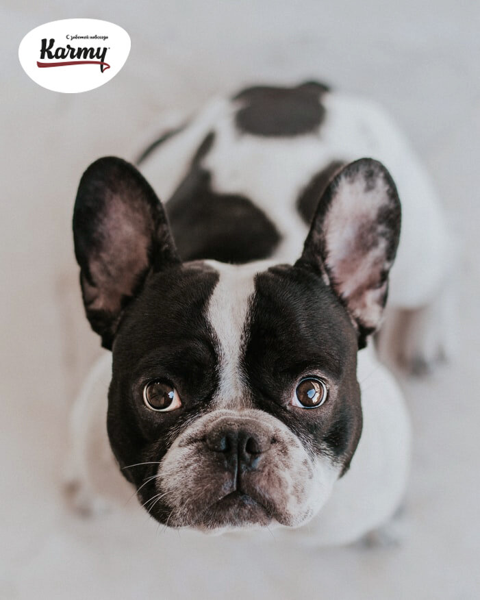 Авторское изображение с использованием картинки с фотостока "Unsplash"