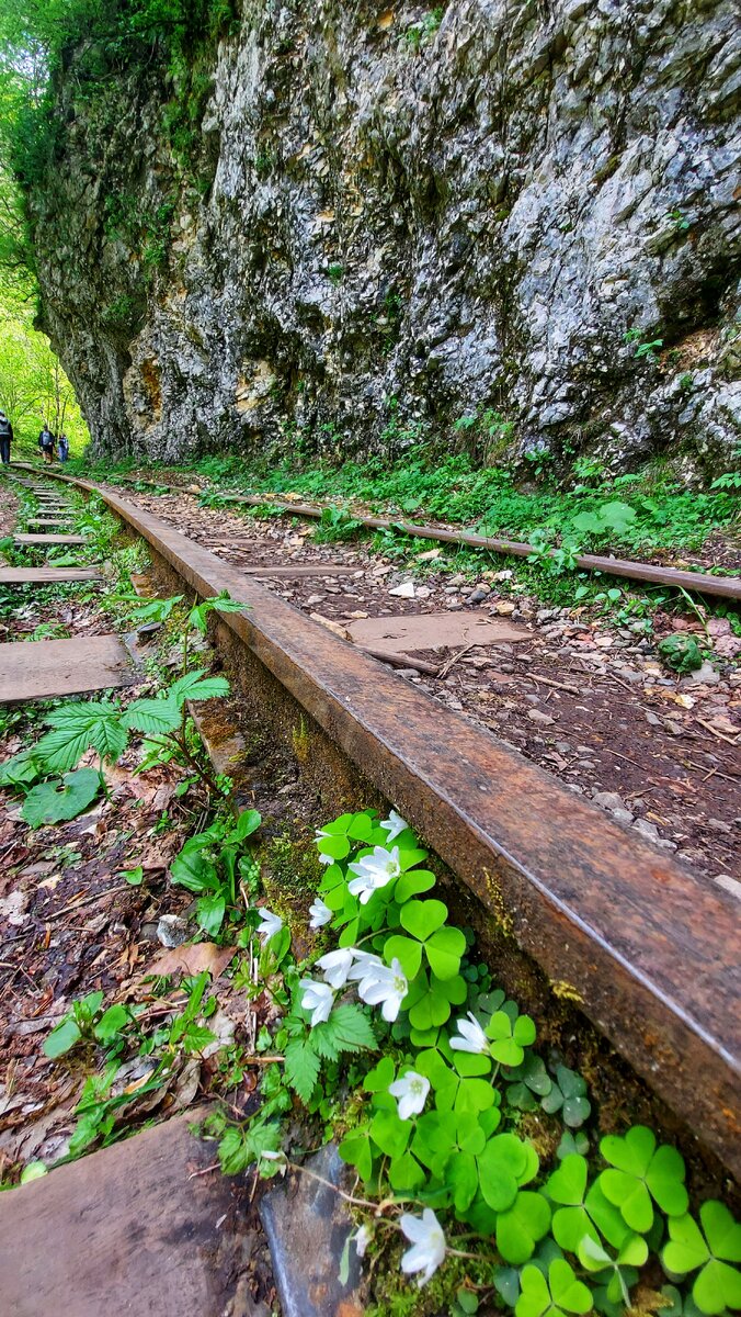 Гуамское ущелье