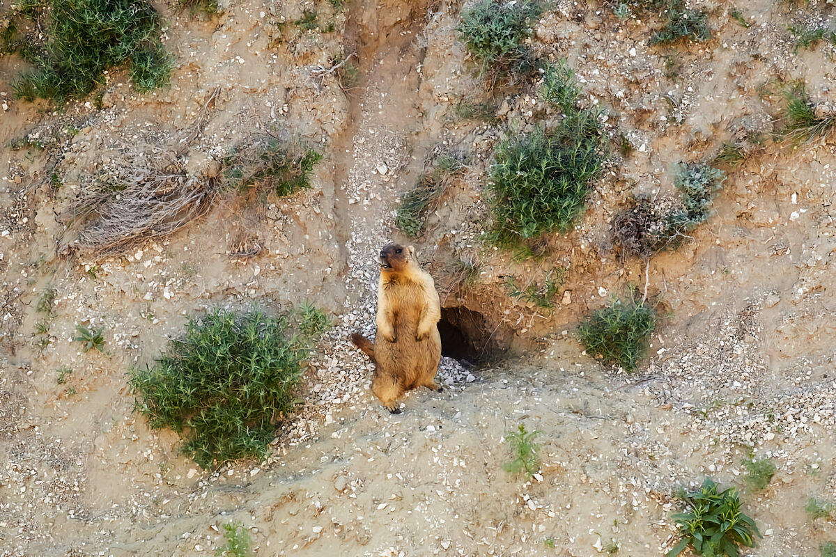 Это только кажется, что однушка мелкая.