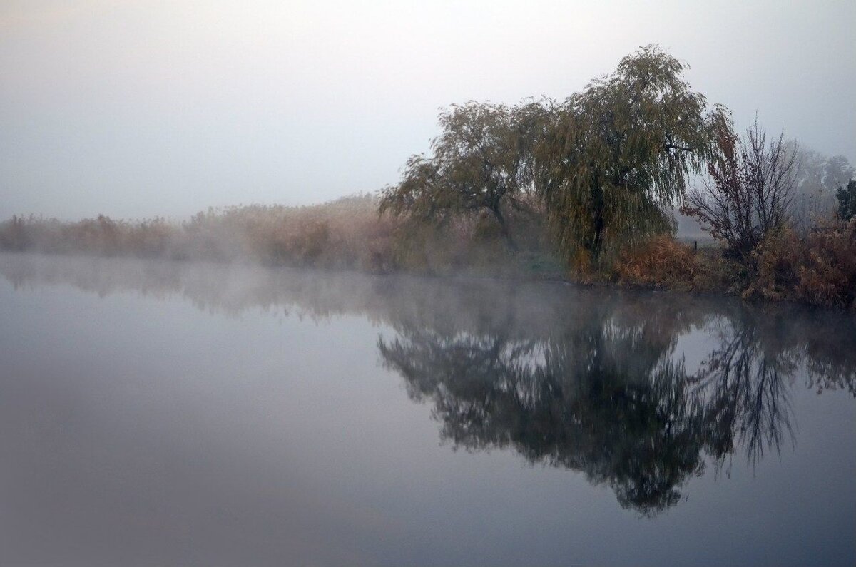 Так мог выглядеть Безымянный ерик до основания Санкт Петербурга.