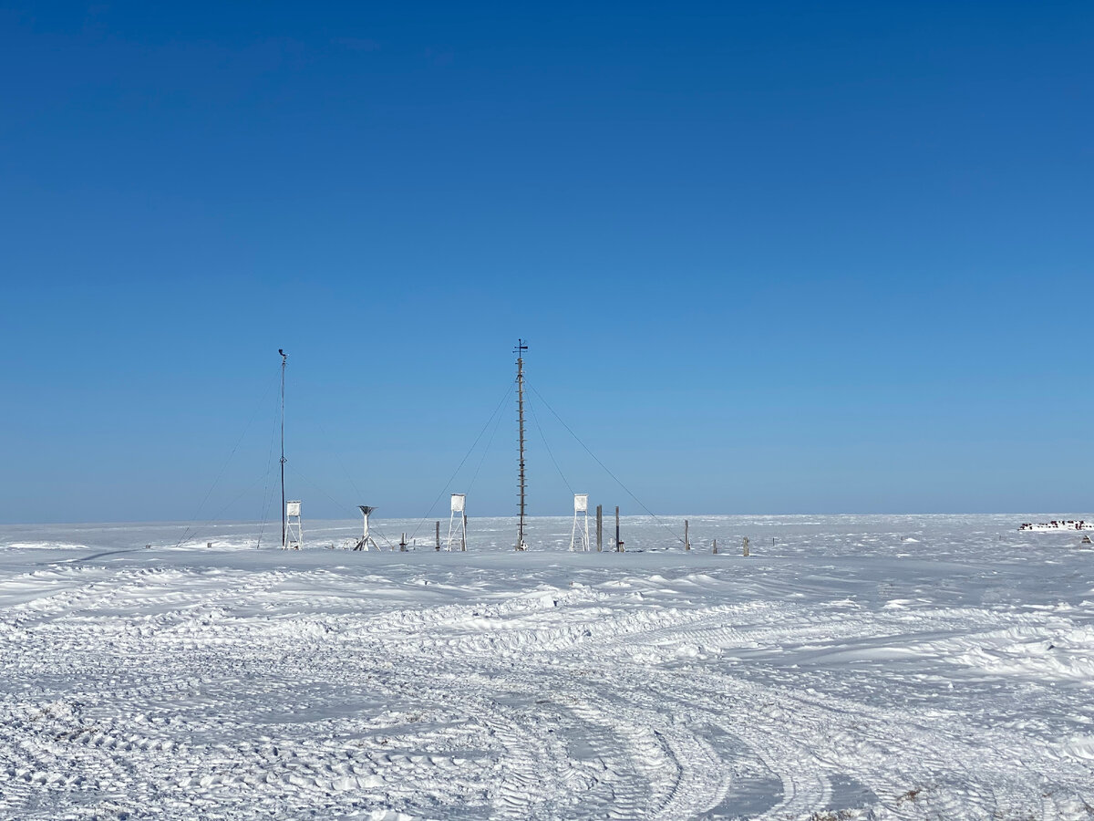 Где самые северные грядки в России? Как семья полярников в парнике на ...