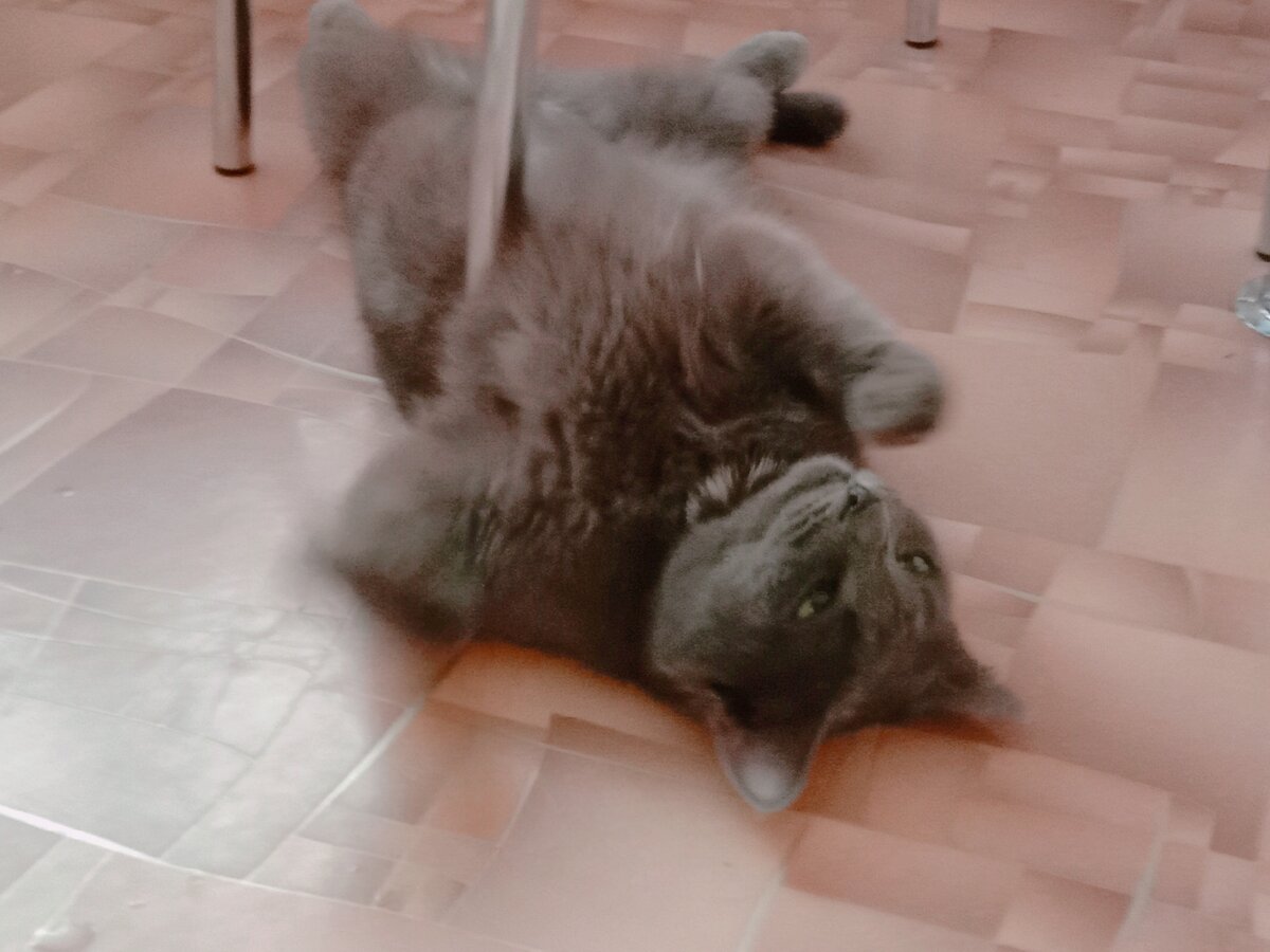 Ем мало, все наговаривают на меня