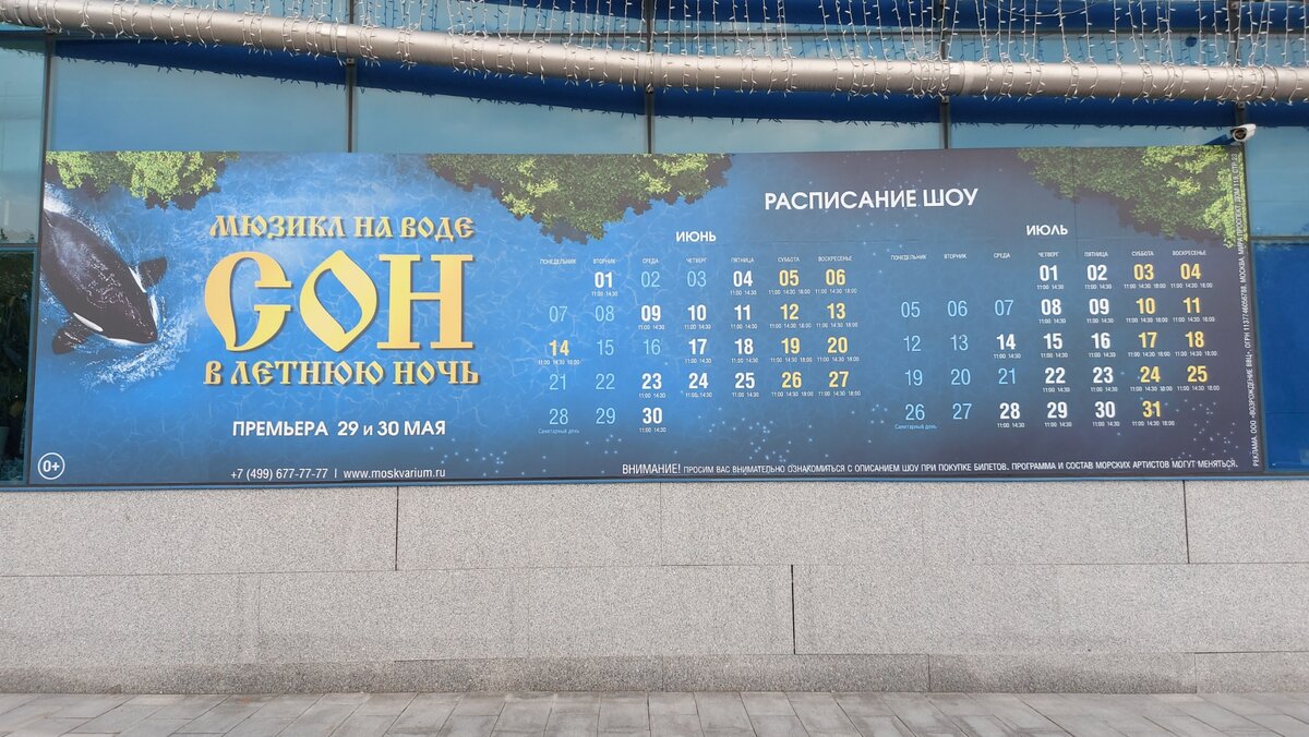 Расписание шоу на лето, фото из личного архива