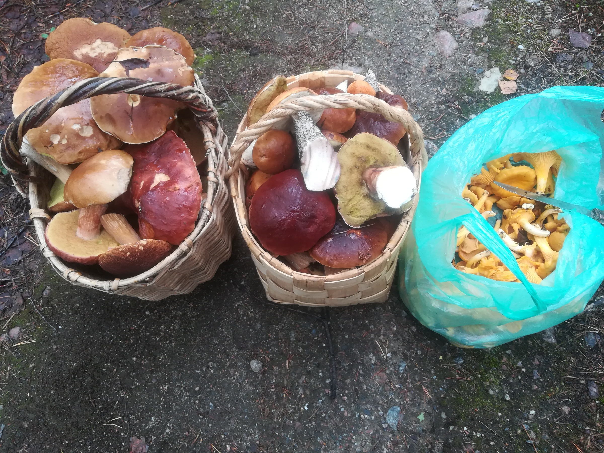 Живу на пенсии, ни на кого не надеюсь и не рассчитываю. Рада, что позорное бесправие меня мало коснулось3