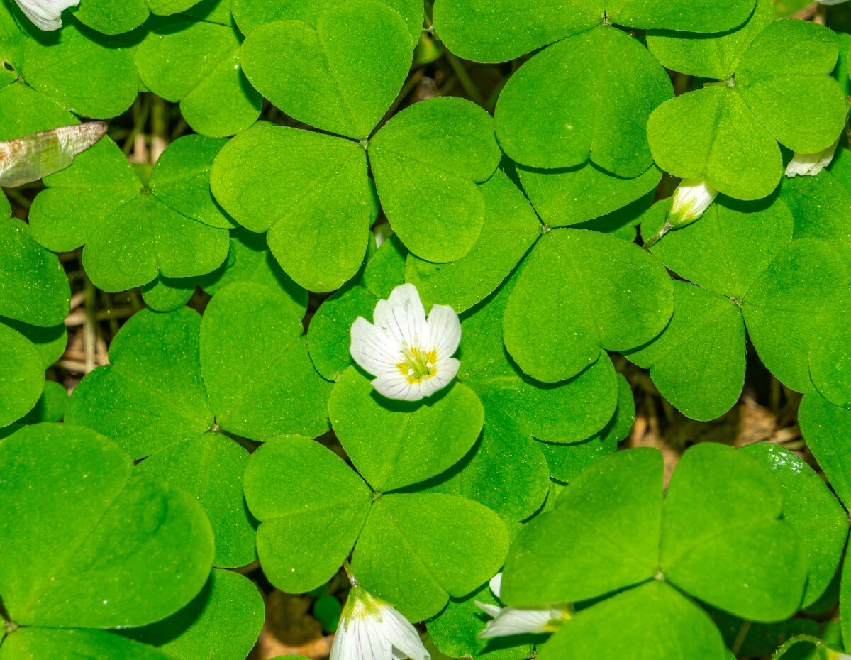 Все фото в статье из семейного архива