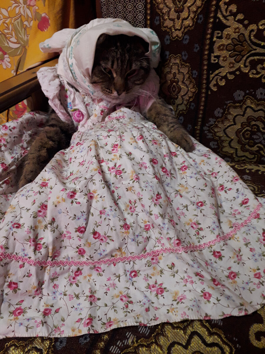 Фото автора.Над Гошей немного поиздевались.