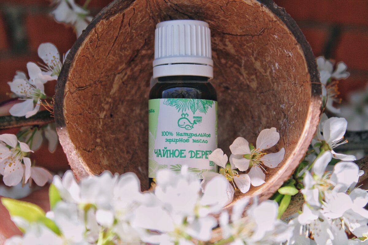 Спивак пенка для умывания чайное дерево. Аромамасло чайное дерево. Как использовать чайное дерево для лица. Как использовать чайное дерево для лица. Как использовать чайное дерево для лица.