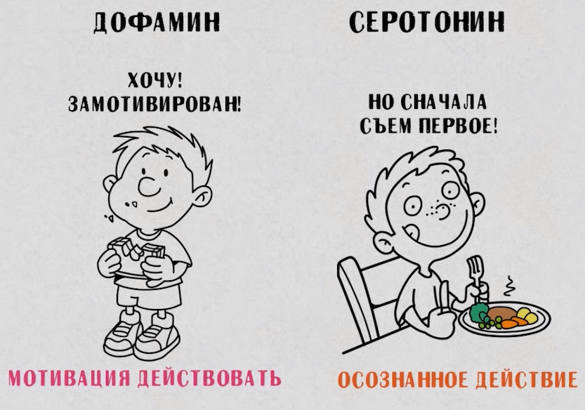 Если перед тем, как получить желаемое, необходимо сделать что-то необходимое (работу), то достаточный серотонин поможет преодолеть преграду без потери уверенности в себе. Изображение взято из гугл поиска.