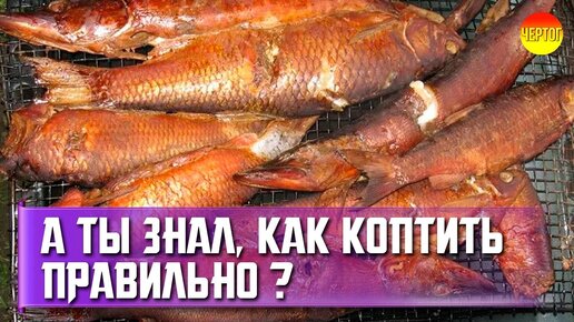 12 советов для горячего копчения. Горячее копчение