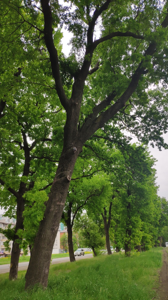 Гуляю рядом со своим районом