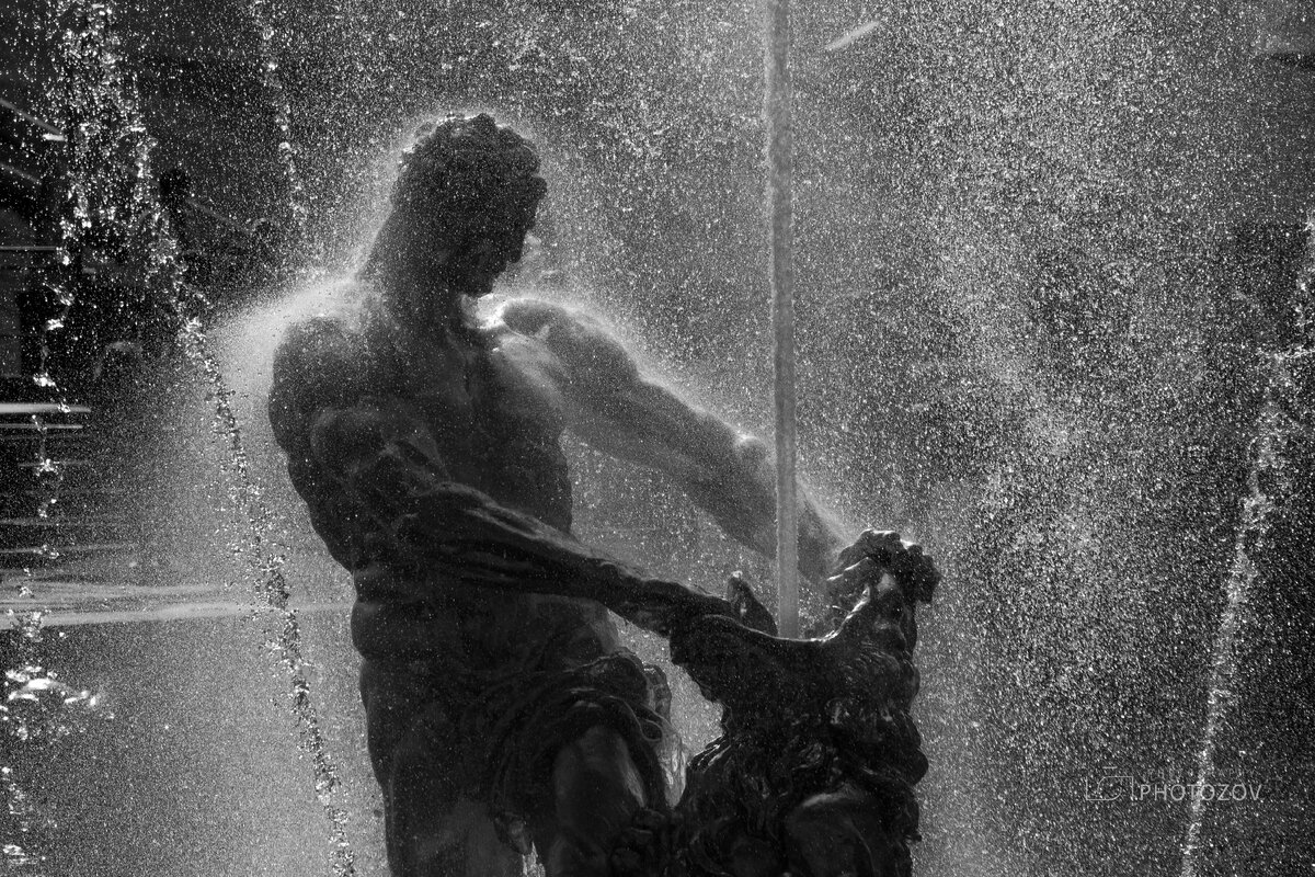 Легендарный Самсон, изначально установлен был в 1735 году, в ознаменование 25-летия со дня  Полтавской битвы. Полный героического пафоса монумент, ставший своеобразной эмблемой Петергофа, —  аллегория побед России в Северной войне. 