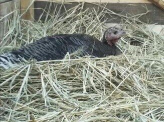 Фото с личного архива