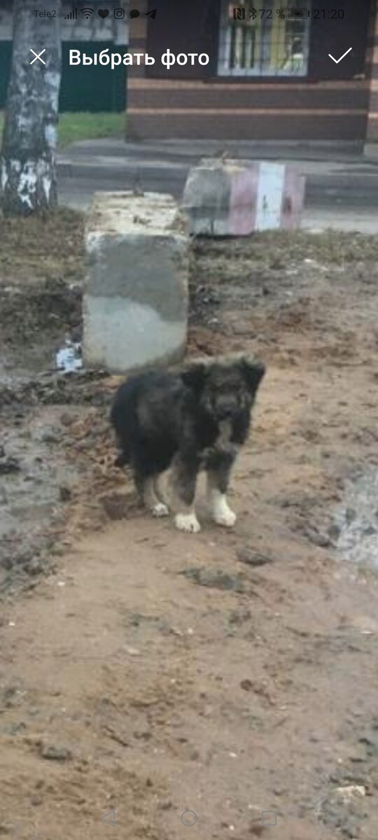 Барни Братан