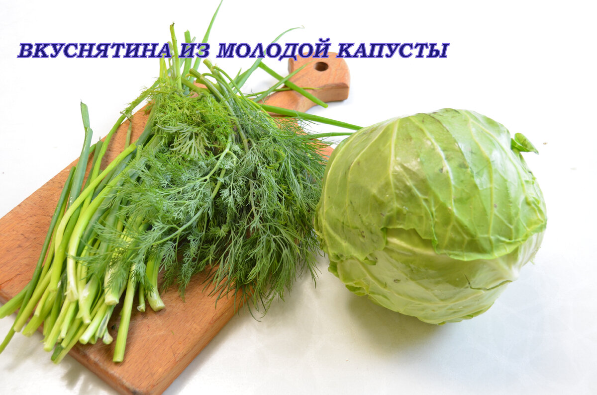 ИЗ МОЛОДОЙ КАПУСТЫ ОБЯЗАТЕЛЬНО ГОТОВЛЮ ТАКУЮ ВКУСНОТУ .ЗАЯЧИЙ ПИРОГ |  Готовим с Мариной Ломака. | Дзен