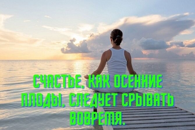 Цитаты про горы, путешествия и дикую природу — моя коллекция.