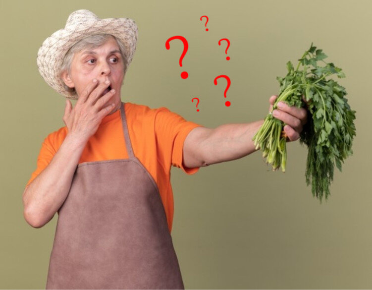 Мужичок с укропом)