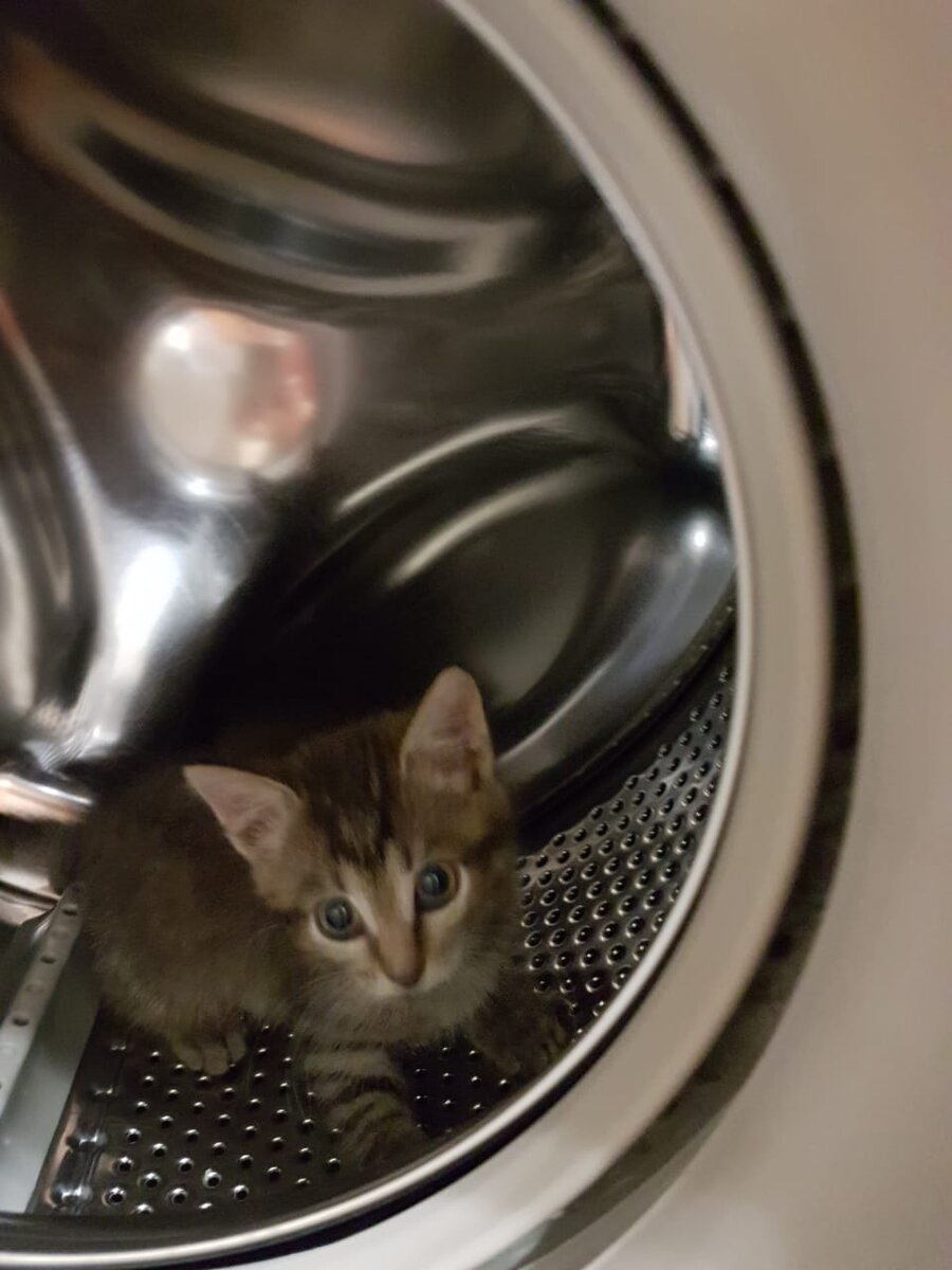 Фото автора.