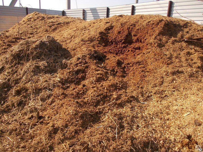 Фото из открытых источников.