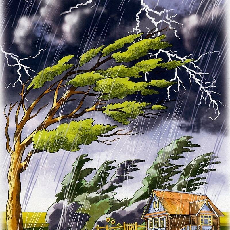 Фото из свободного доступа сети интернет