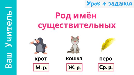 Род имен существительных. Как определить род имен существительных?