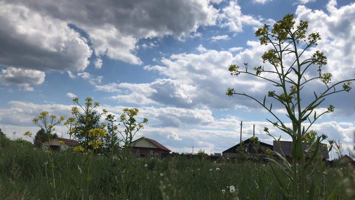 Если вы в поисках земельного участка , то вы обязательно должны узнать полезные советы: