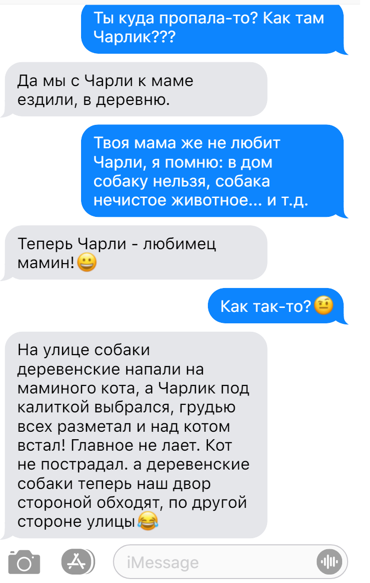 Записки ветеринара. Смешные переписки с хозяевами чау-чау | СобачьЯ жизнь |  Дзен