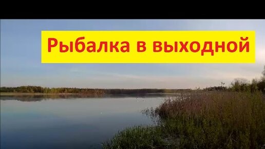 Рыбалка в выходной. Фидерная и поплавочная рыбалка.