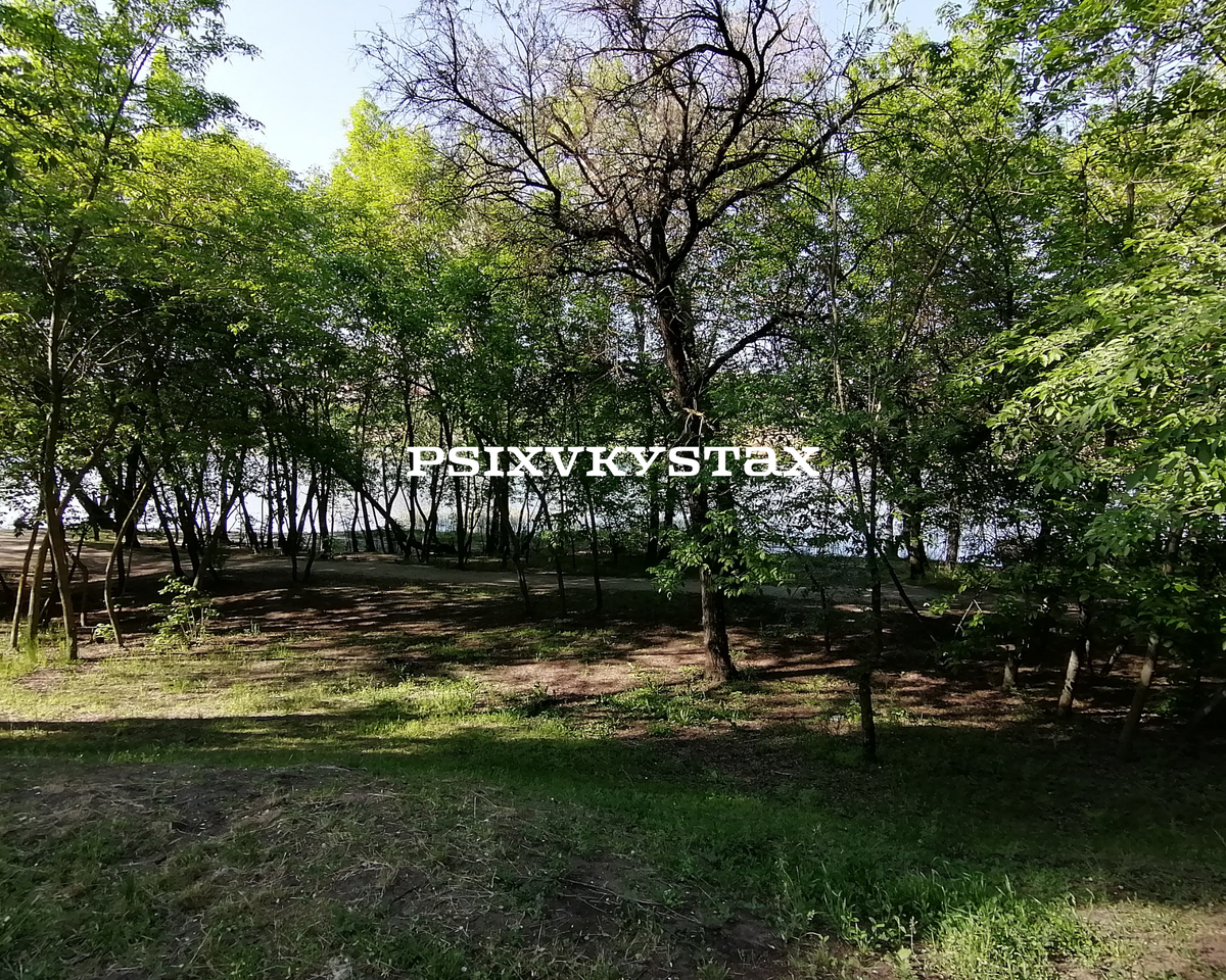 Природа. Фото из личного архива