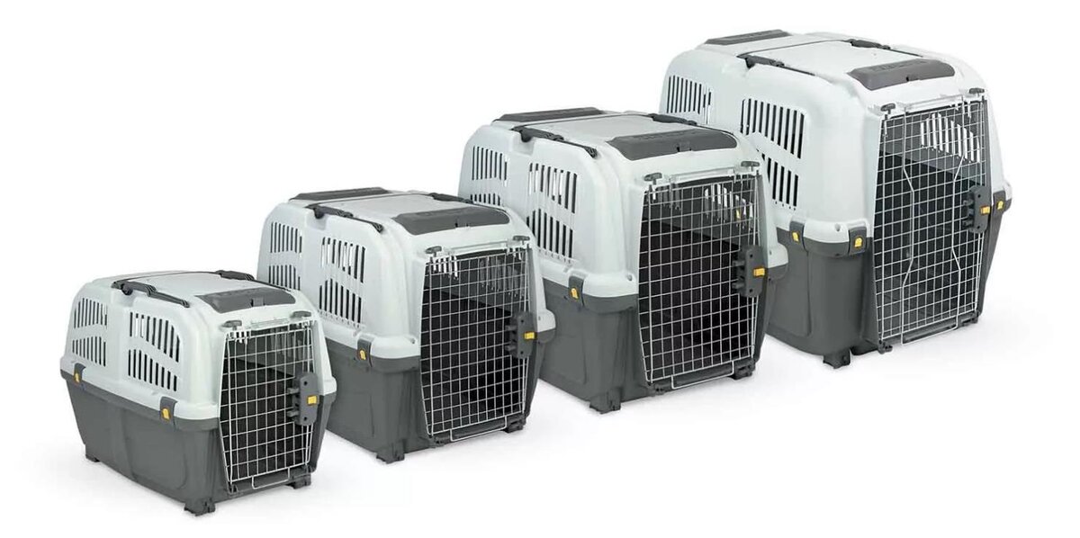 Переноски - бывают и для больших собак