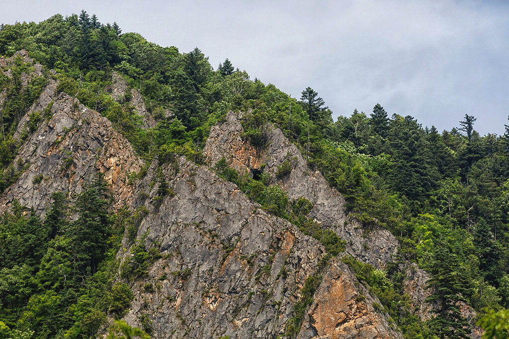 Город уссурийск приморского края. Фото уссурийский. Уссурийск виды города. Уссурийская тайга сихотэ алинь. Фото уссурийский.