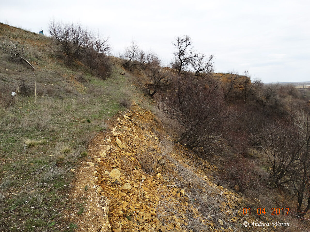На склонах прибрежных холмов очень много мест, где на поверхность выходит ракушечник. Кое-где даже устроены мини-карьеры по его добыче