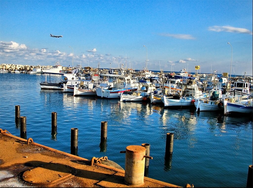 Фото из интернета 