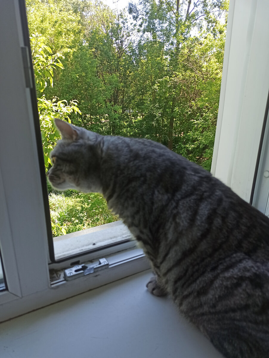 С надеждой на лучшее смотрим в июнь