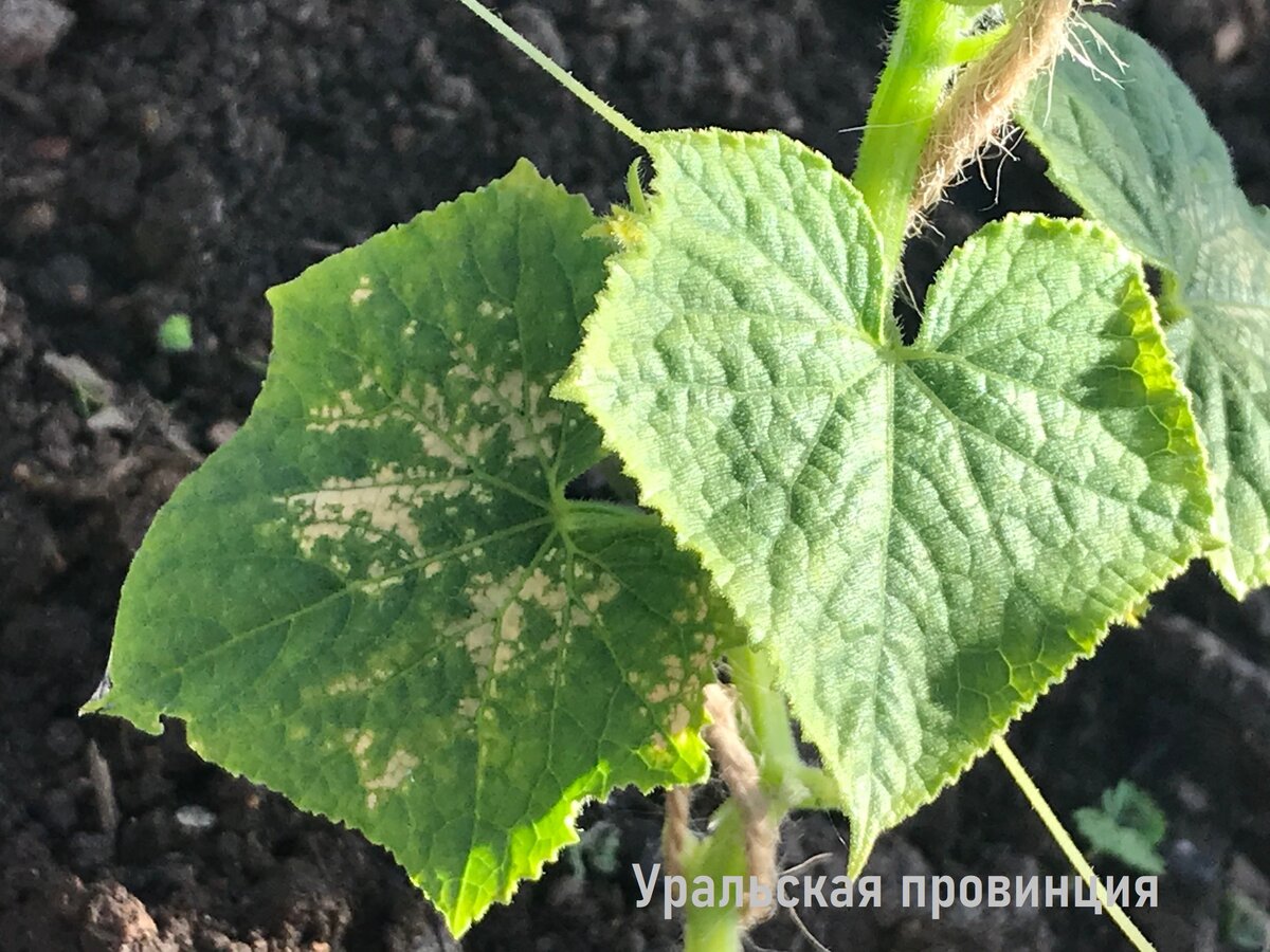 Начало процесса - дефицит есть, но не большой