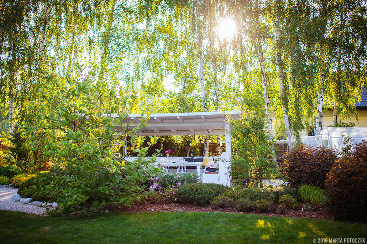 Сад Марты Поточек. Сад Марии Поточек. Marta Potoczek на даче leniv. Marta Potoczek leniva niedziela в огороде на дачах