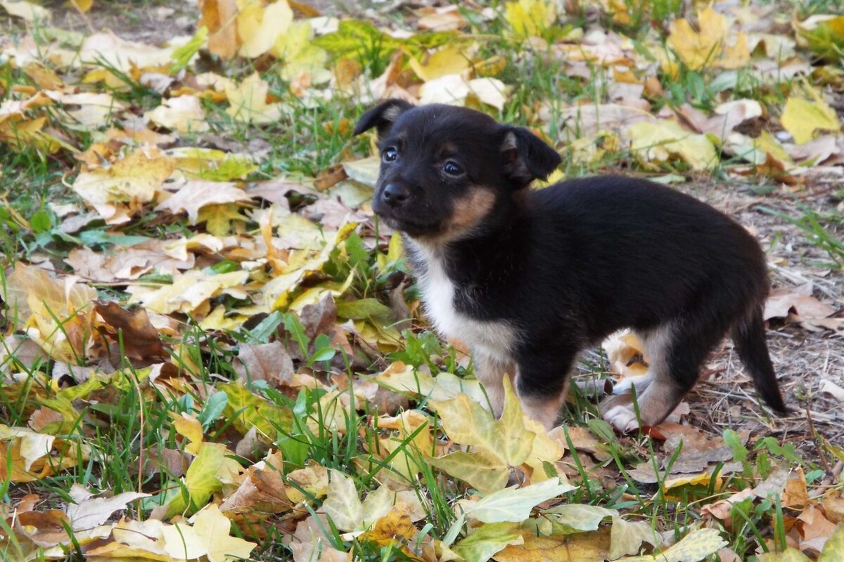 Первая фотосессия Беллы