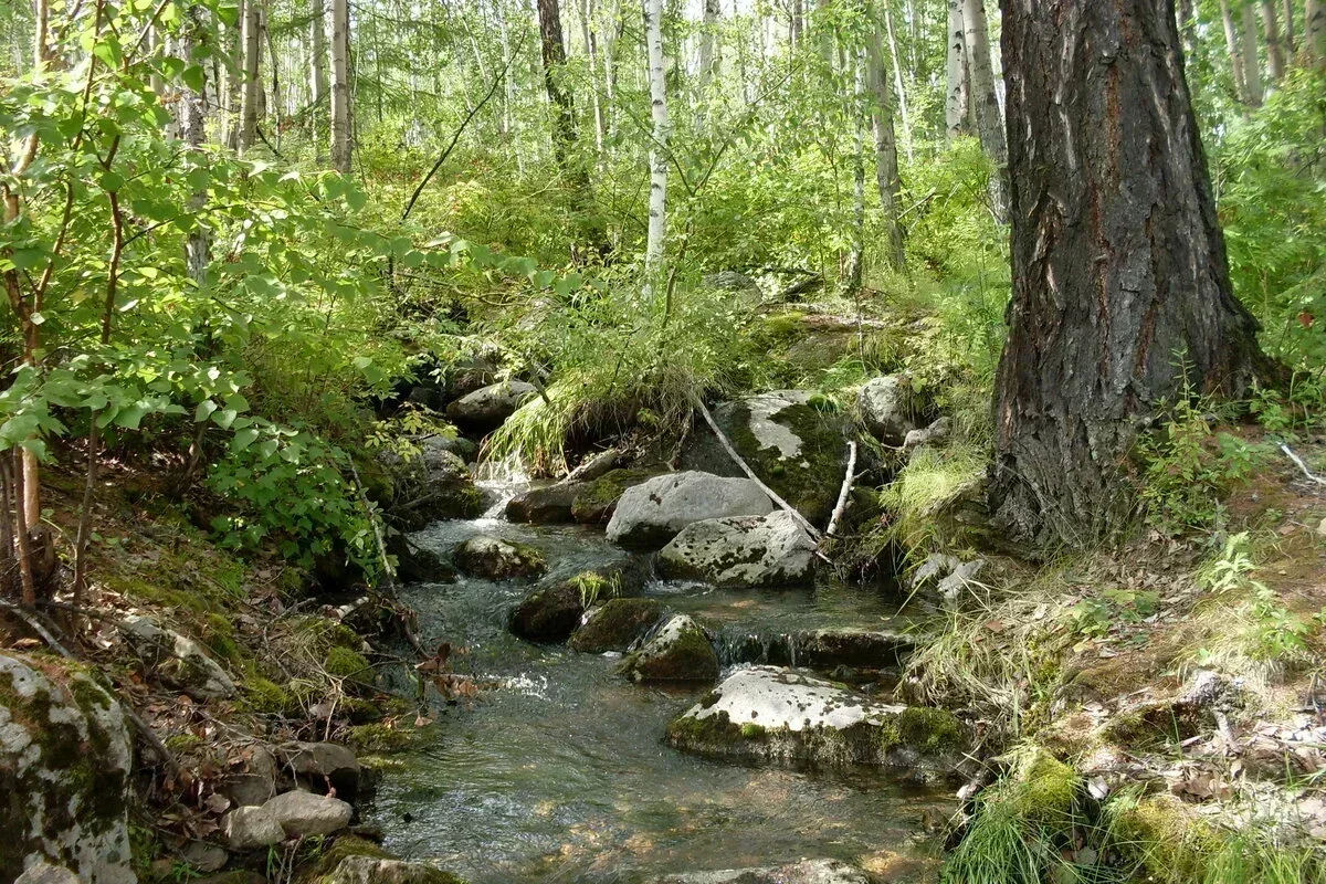 Фото автора. Ручей в окрестностях Читы