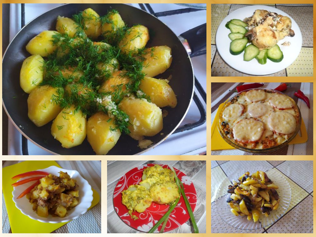 Фото автора канала Дзен "Моя домашняя кухня" (zen.yandex.ru/yadomohozyaika)